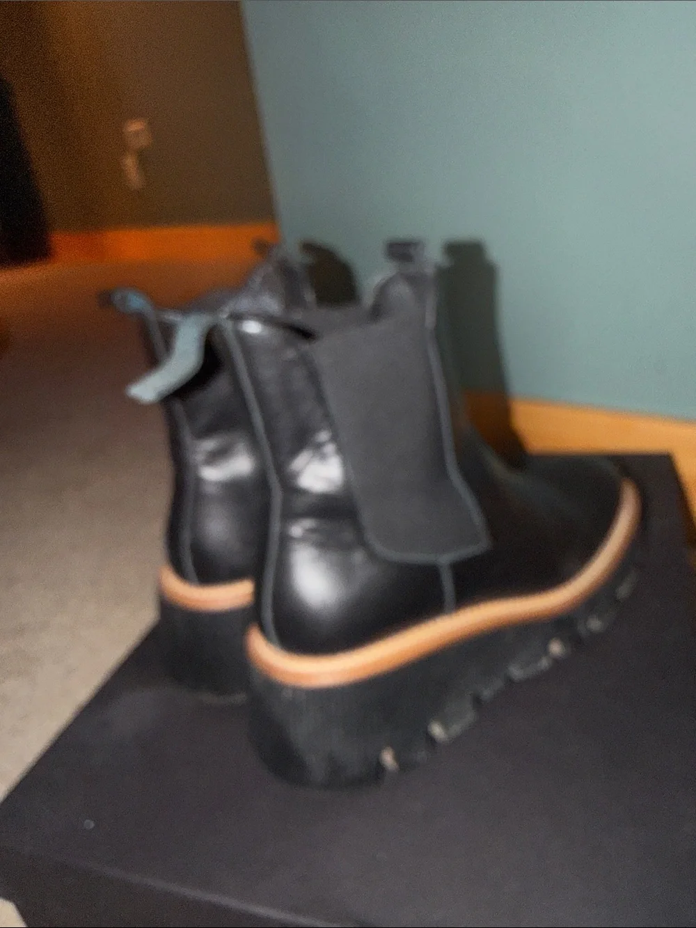Freda Salvador boots